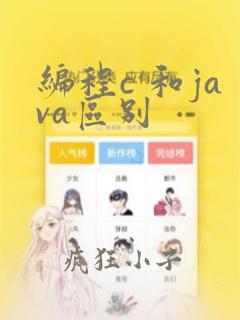 编程c 和java区别
