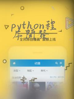 python程序开发