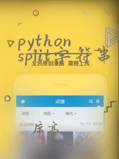 python split字符串