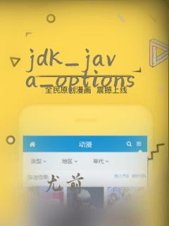 jdk_java_options