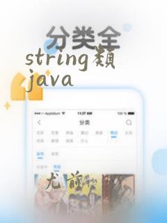 string类java