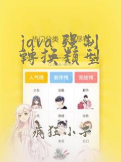 java 强制转换类型