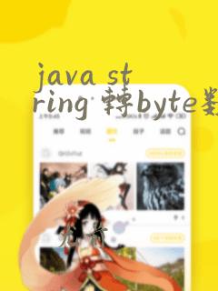 java string 转byte数组