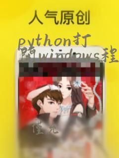python打开windows程序