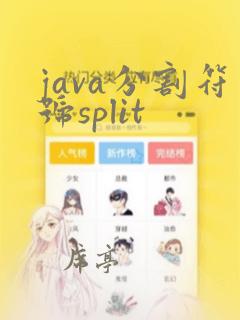 java分割符号split