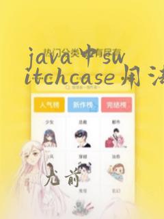 java中switchcase用法