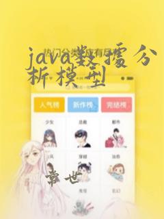 java数据分析模型