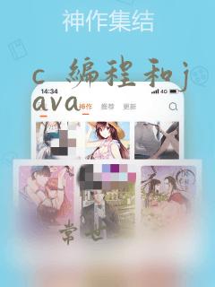 c 编程和java