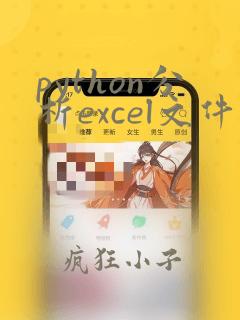 python分析excel文件