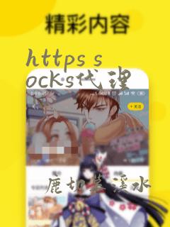 https socks代理