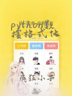python数据格式化