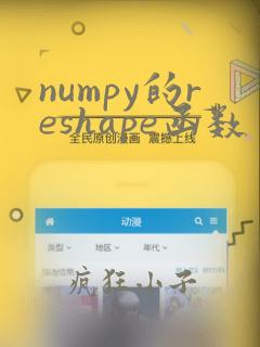 numpy的reshape函数