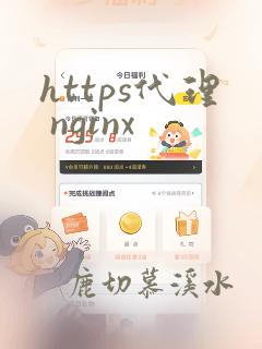 https代理 nginx