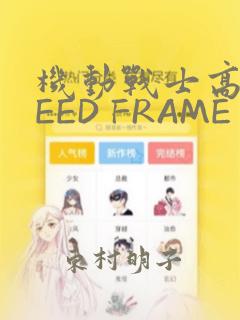 机动战士高达SEED FRAME ASTRAYS