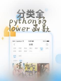 python的lower函数