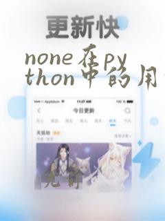 none在python中的用法