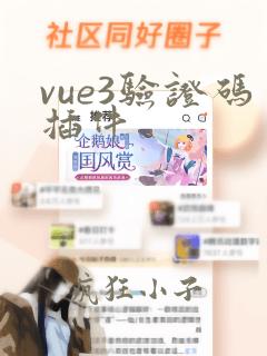 vue3验证码插件