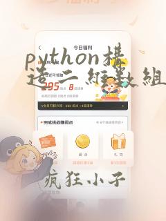 python构造二维数组