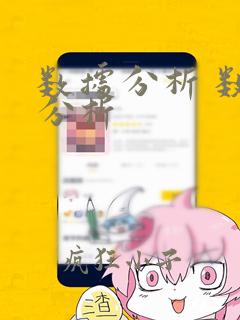 数据分析 数据分析