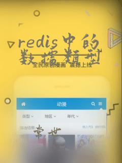 redis中的数据类型