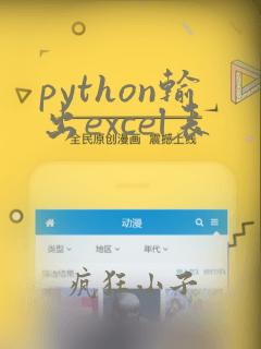 python输出excel表