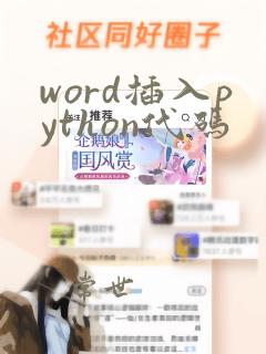 word插入python代码
