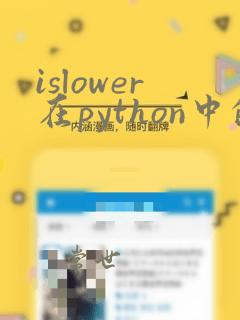 islower在python中的用法