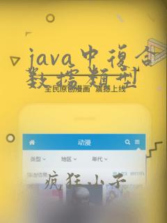 java中复合数据类型