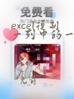 excel复制一列中的一段数据