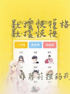 数据恢复格式化数据恢复