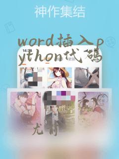 word插入python代码