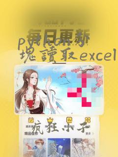 python分块读取excel