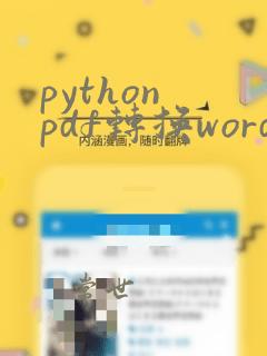 python pdf转换word