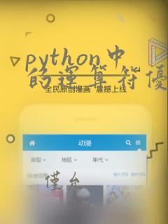 python中的运算符优先级问题