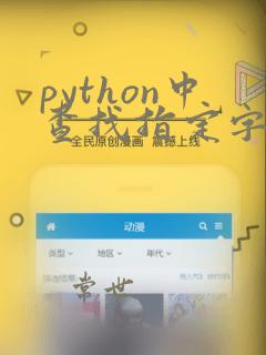 python中查找指定字符