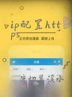 ip配置https