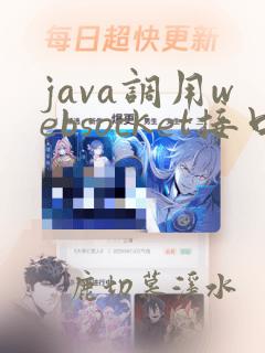 java调用websocket接口
