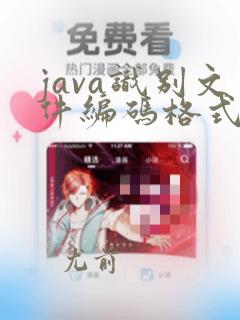 java识别文件编码格式