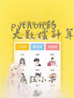 python的大数据计算