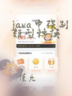 java中强制类型转换