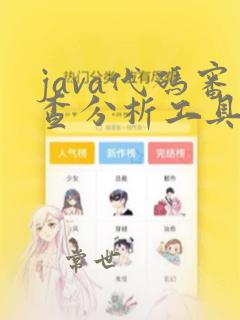 java代码审查分析工具