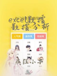 excel数据 数据分析