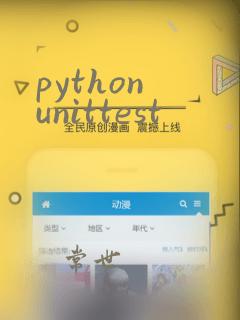 python unittest