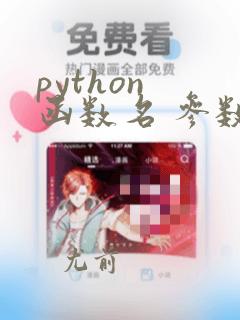 python 函数名 参数