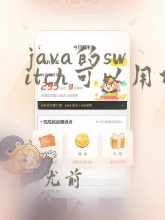 java的switch可以用什么类型