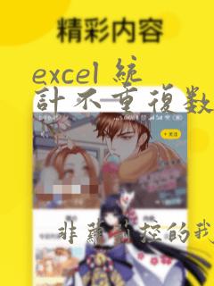 excel 统计不重复数据个数