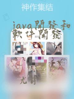 java开发和软件开发