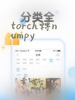 torch转numpy