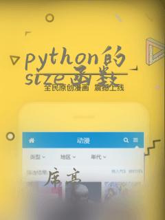 python的size函数