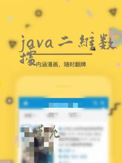 java二维数据